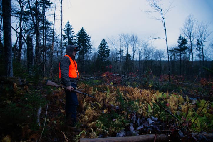 Sitka Thunderhead vs Cloudburst vs Stormfront: Which Rain System for Which Hunter