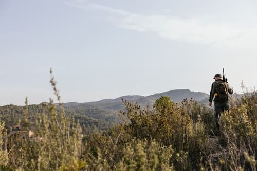 The 8-Week Elk Fitness Plan: Get Mountain-Ready Before the September Opener