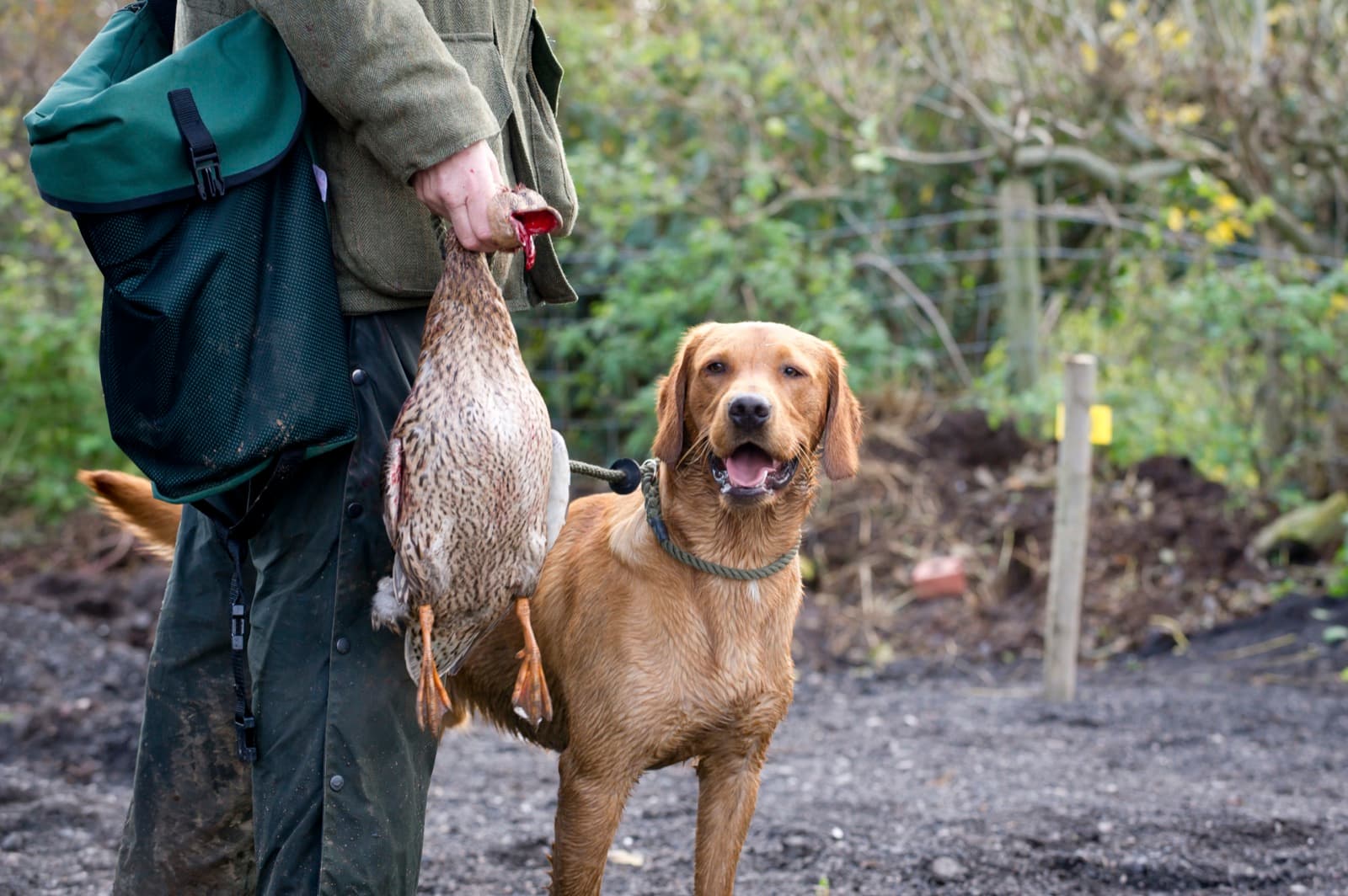 The Field-to-Table Pipeline: How Wild Game Cooking Became Hunting's Best Recruitment Tool