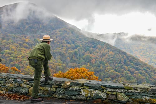 What the Forest Service Overhaul Could Mean for Hunters and Anglers