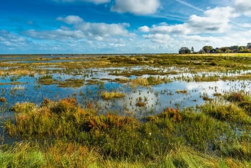 New Refuge Hunting Opportunities Near You: What the 2026 Expansion Actually Means