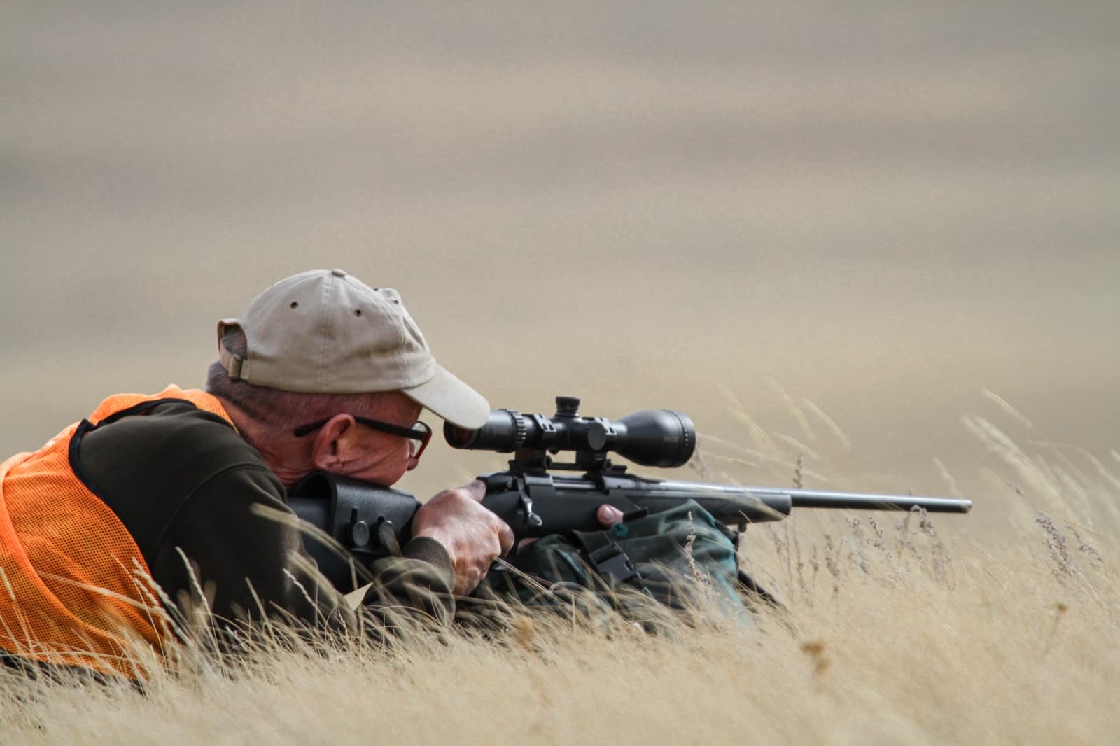 Sunday Hunting Laws in 2026: The State-by-State Fight Explained