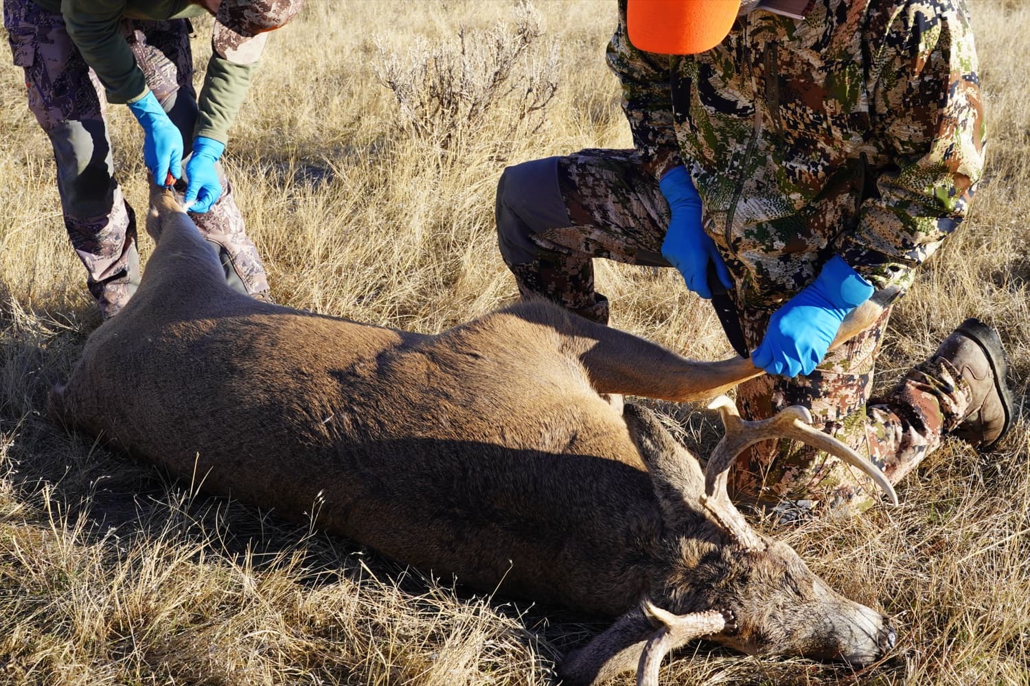 Hot-Weather Hunting: How Sitka, KUIU, and First Lite Build for the Early Season