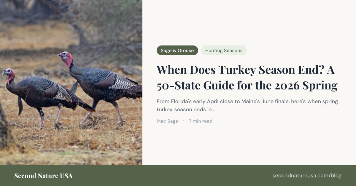 When Does Turkey Season End? 50-State Guide (2026)